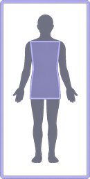 Chest-Pelvis
